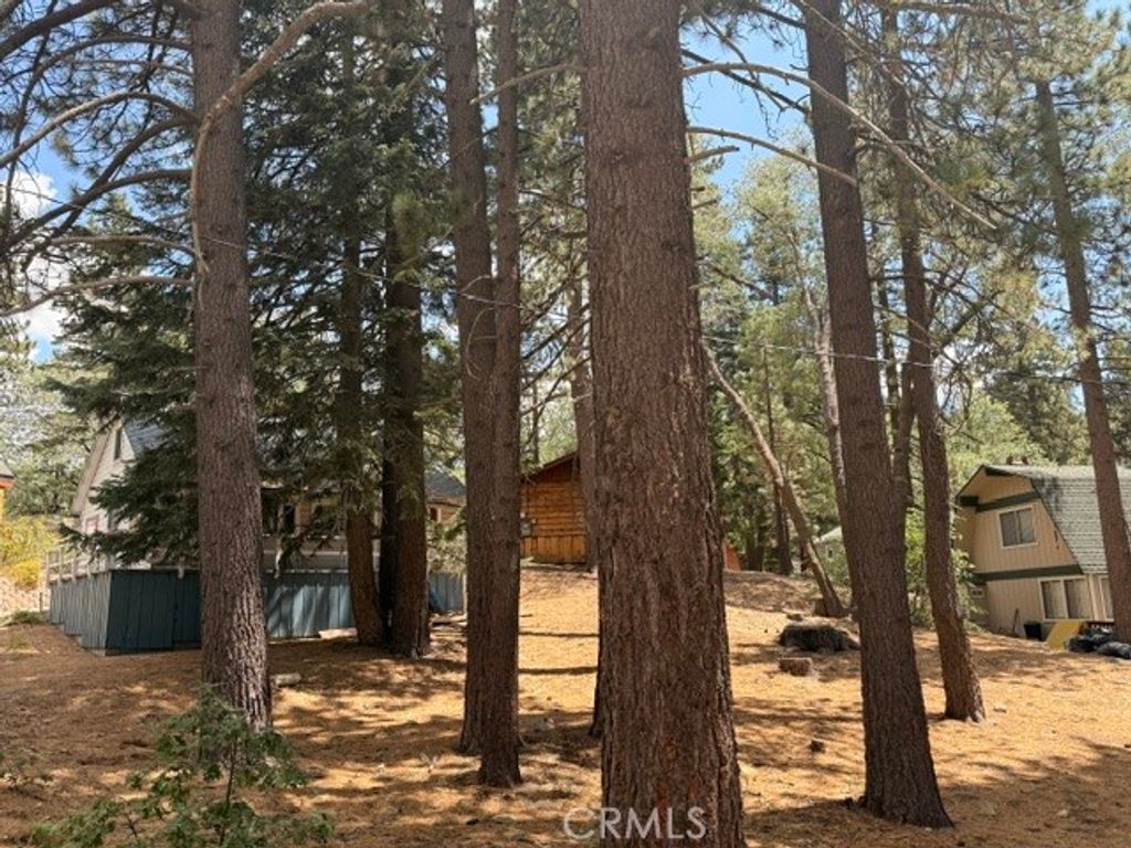 Image 11 of property listing at 33390 Wild Rose, Green Valley Lake, CA 92341