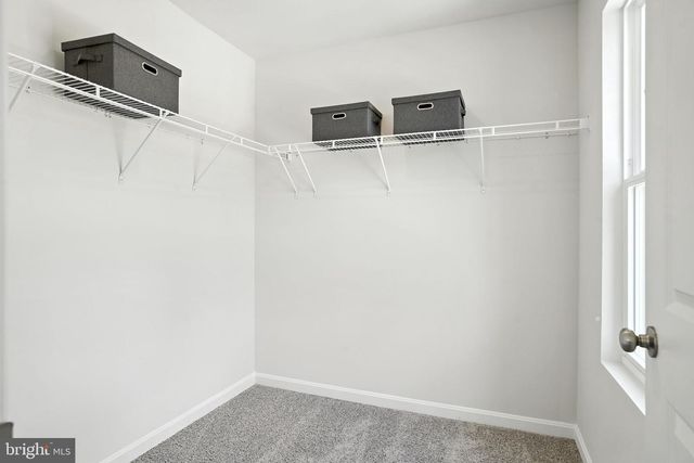 17388 CLARK & YORK BLVD, Ruther Glen, VA 22546