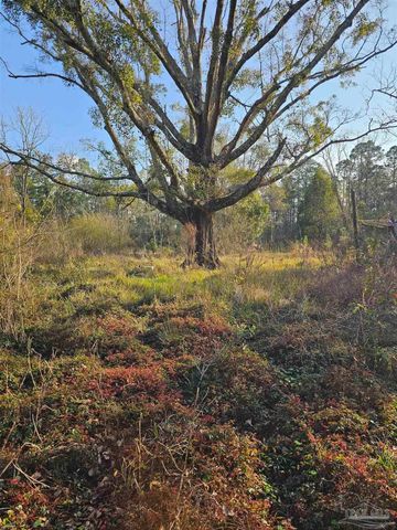 29640 Us Hwy 98, Elberta, AL 36530