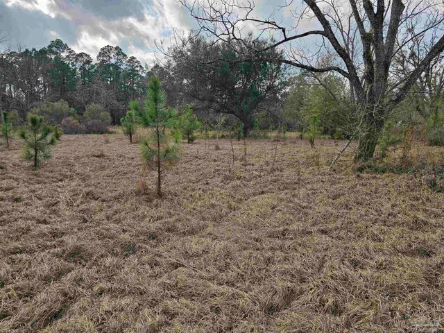 29640 Us Hwy 98, Elberta, AL 36530