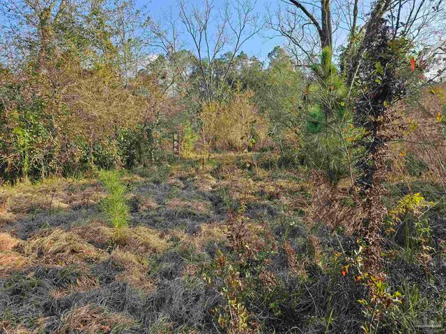 29640 Us Hwy 98, Elberta, AL 36530