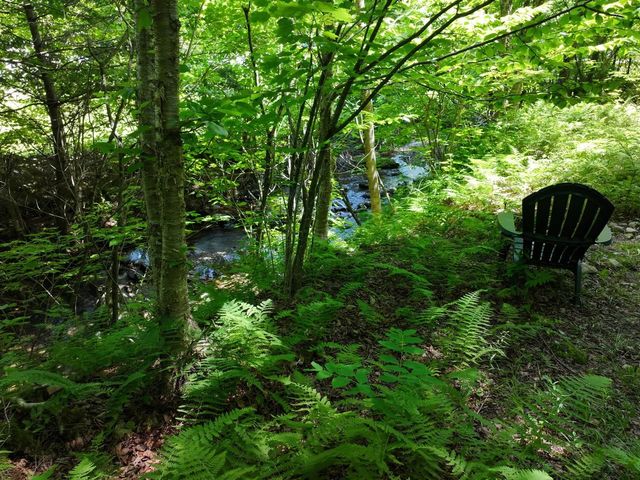 9562 Main Road, Huntington, VT 05462