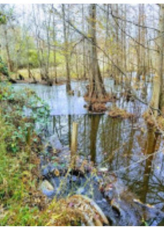 0 BOYETTE ROAD, Jackson, SC 29831