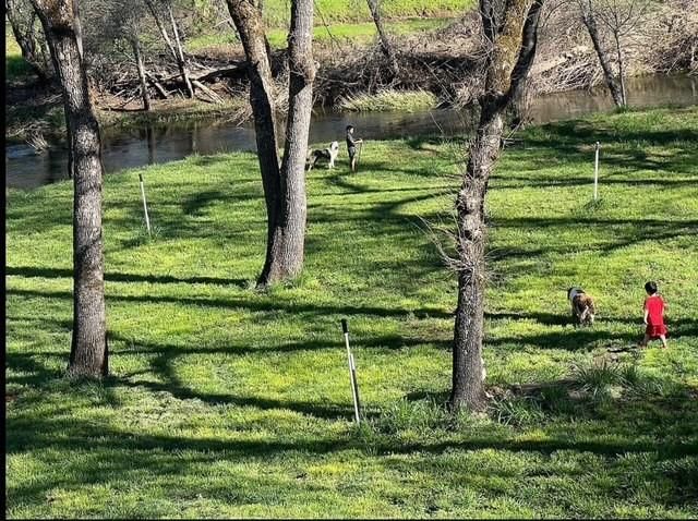 22174 Jennifer Dr, Grass Valley, CA 95949