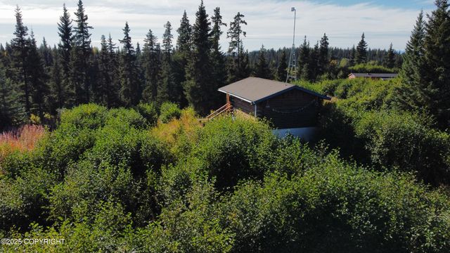 39047 Sayer Road, Anchor Point, AK 99556