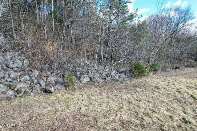 Lt 2 West Andrew Johnson Highway, Greeneville, TN 37745