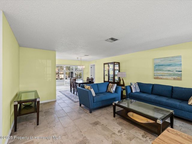6393 Lost Tree Lane, Spring Hill, FL 34606