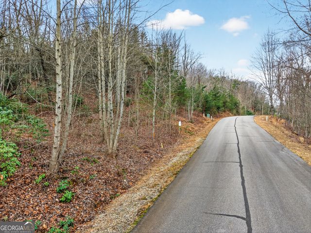 252 S Laceola Road, Cleveland, GA 30528