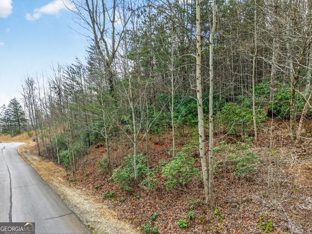 252 S Laceola Road, Cleveland, GA 30528