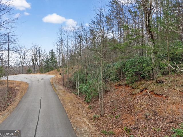 252 S Laceola Road, Cleveland, GA 30528