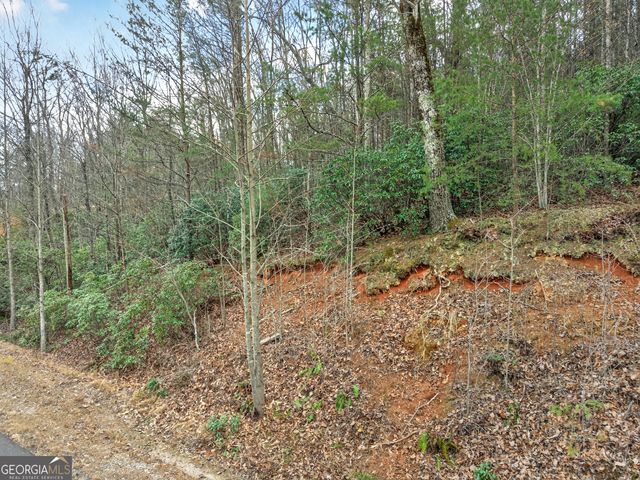 252 S Laceola Road, Cleveland, GA 30528
