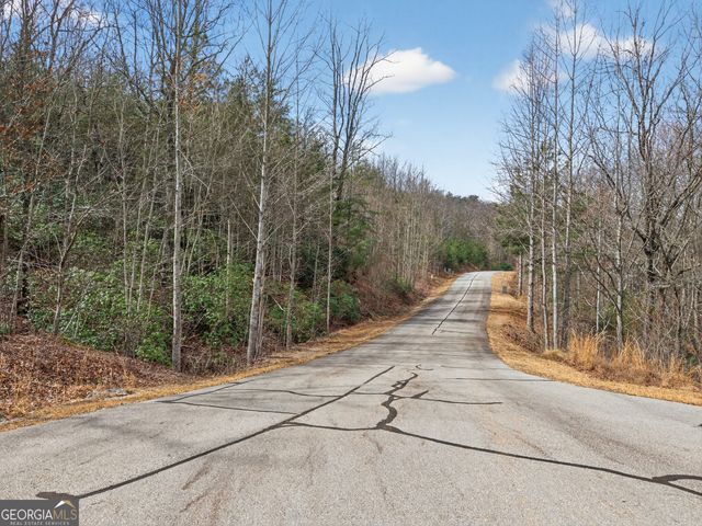 252 S Laceola Road, Cleveland, GA 30528