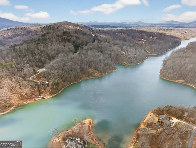 252 S Laceola Road, Cleveland, GA 30528