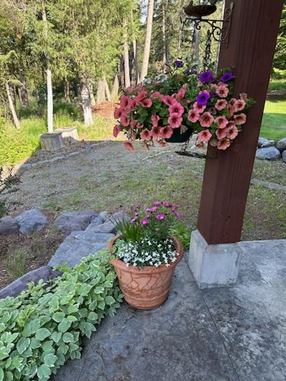 234 and 244 Williams Lane, Bigfork, MT 59911 photo 13