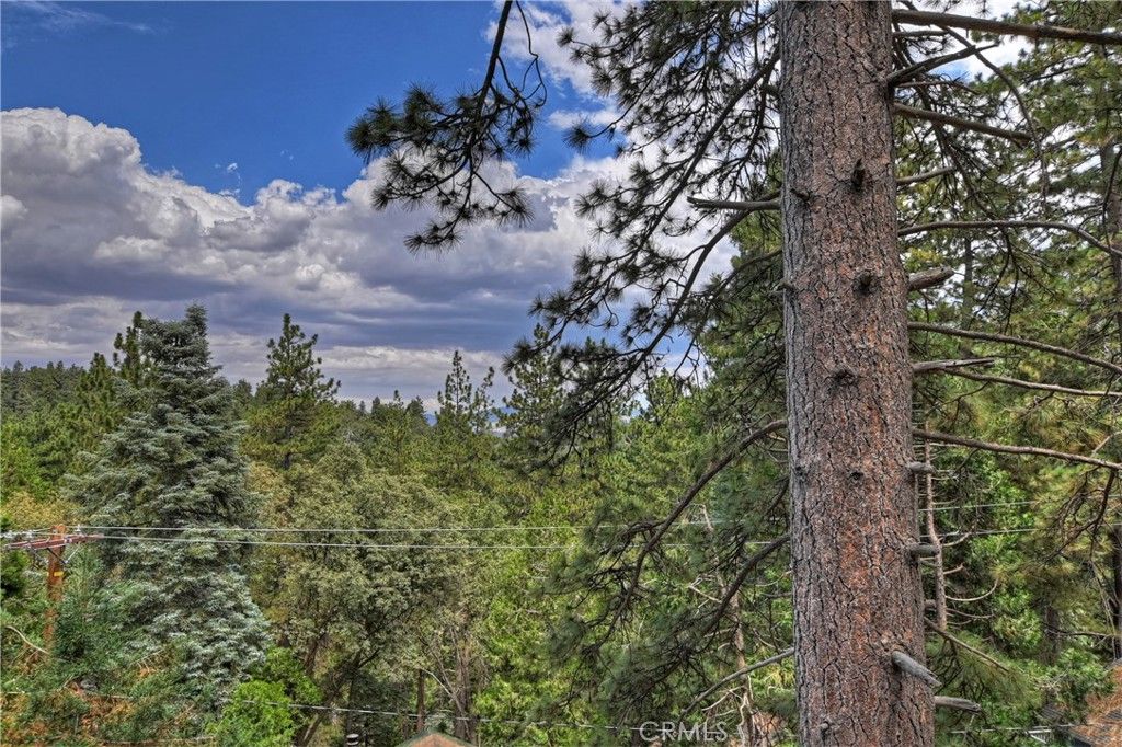 Image 52 of property listing at 804 Sierra Vista, Twin Peaks, CA 92391