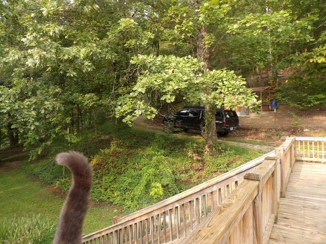 499 Johnson Loop Road, Pikeville, TN 37367