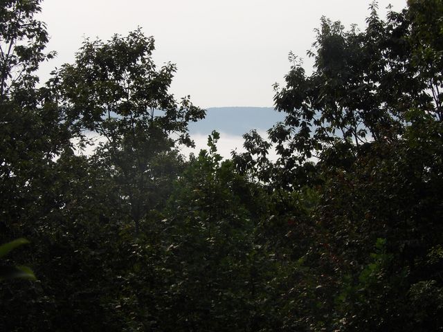 499 Johnson Loop Road, Pikeville, TN 37367