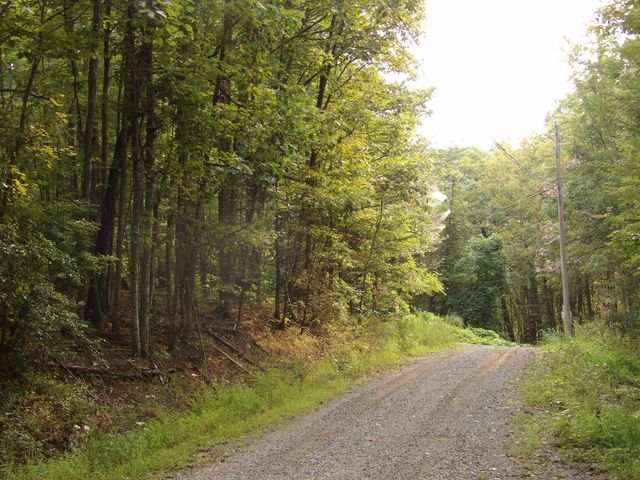 499 Johnson Loop Road, Pikeville, TN 37367