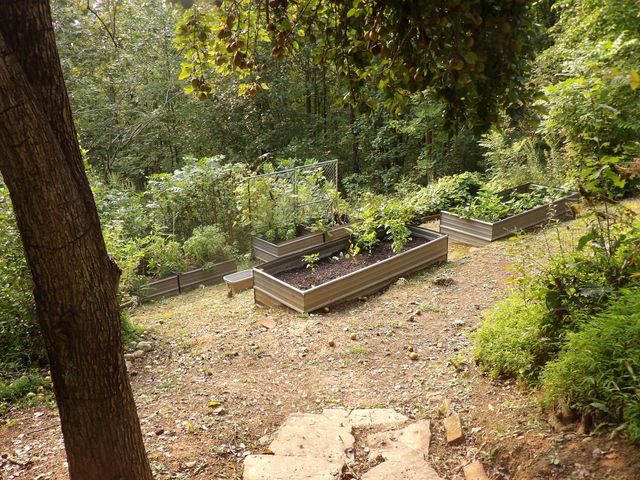 499 Johnson Loop Road, Pikeville, TN 37367