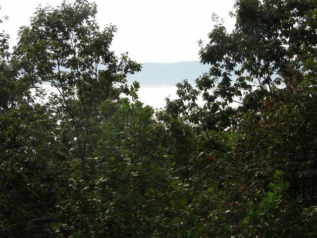 499 Johnson Loop Road, Pikeville, TN 37367