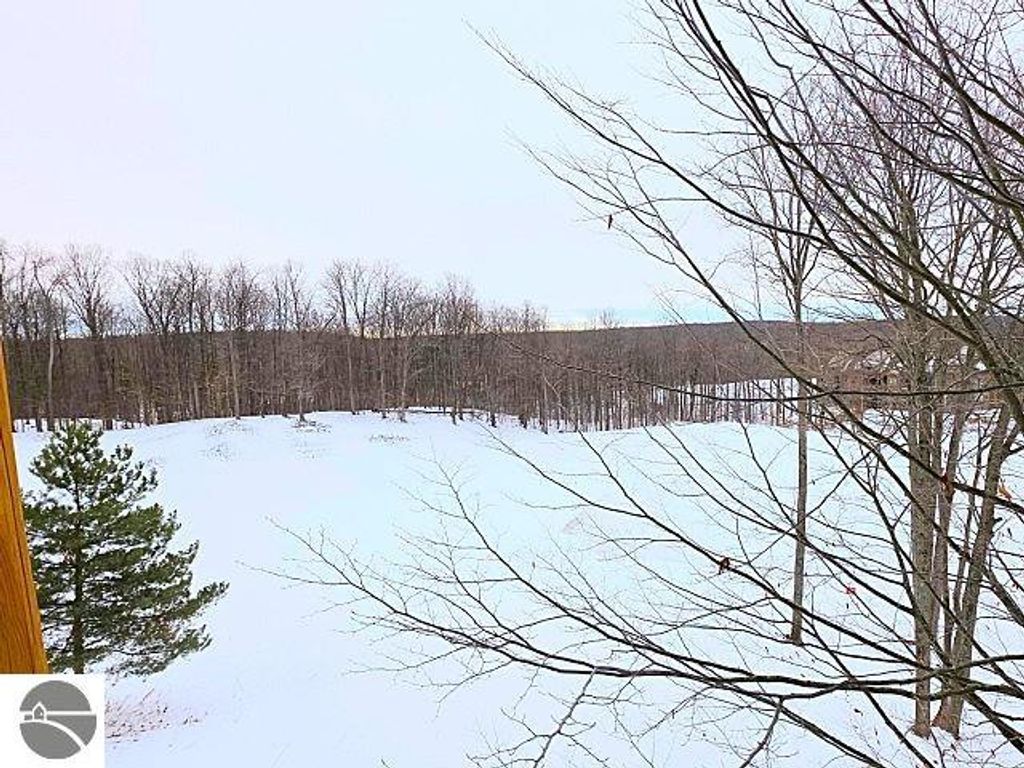 Image 17 of property listing at 2400 Troon South # 4210, Bellaire, MI 49615