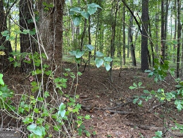 SS LOT 7 Lake Sinclair Drive, Sparta, GA 31087