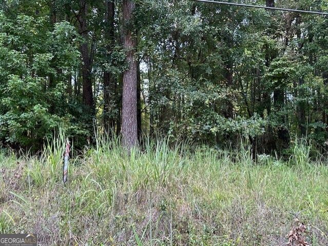 SS LOT 7 Lake Sinclair Drive, Sparta, GA 31087