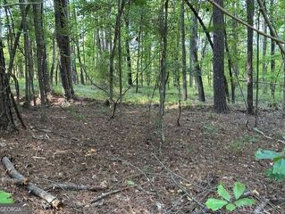 SS LOT 7 Lake Sinclair Drive, Sparta, GA 31087