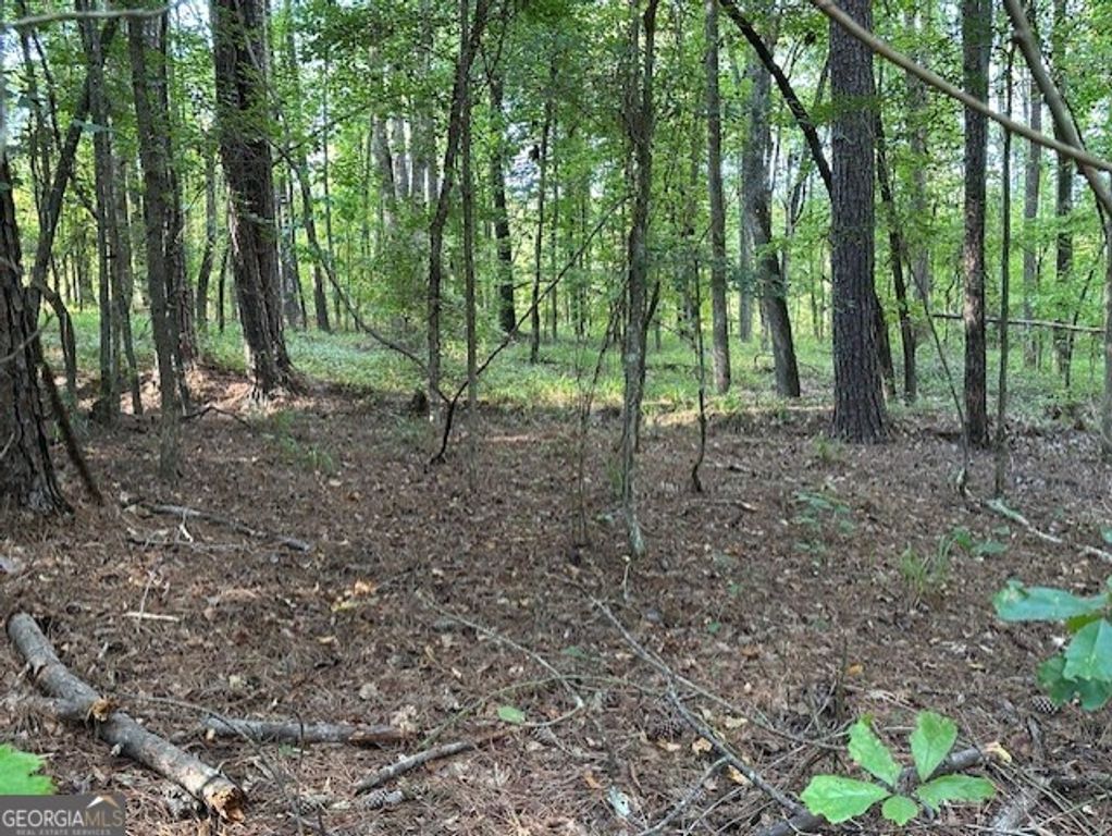 SS LOT 7 Lake Sinclair Drive, Sparta, GA 31087