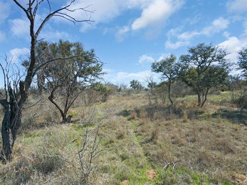 TBD Delta DR, Llano, TX 78643