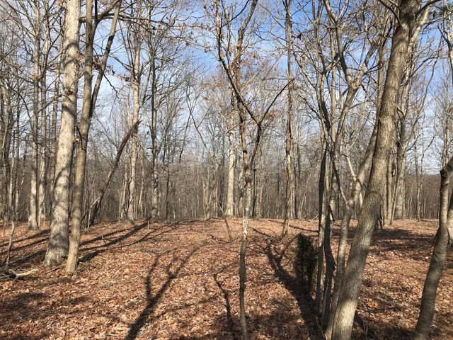 504 Wilderness Way, Dunlap, TN 37327
