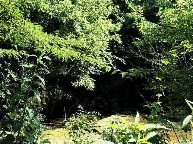 6866 Greenvale Rd, Watertown, TN 37184