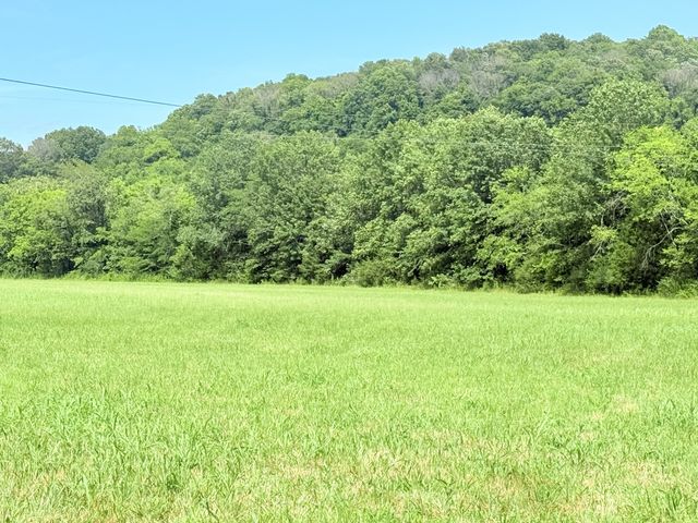 6866 Greenvale Rd, Watertown, TN 37184