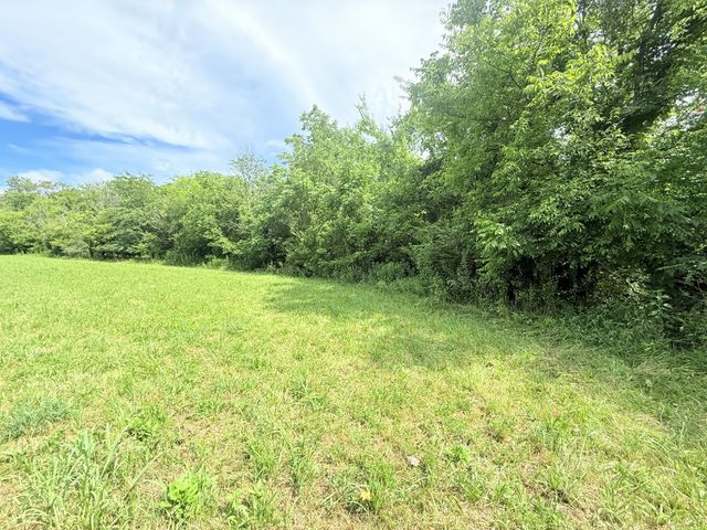 6866 Greenvale Rd, Watertown, TN 37184