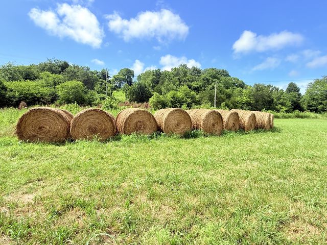 6866 Greenvale Rd, Watertown, TN 37184