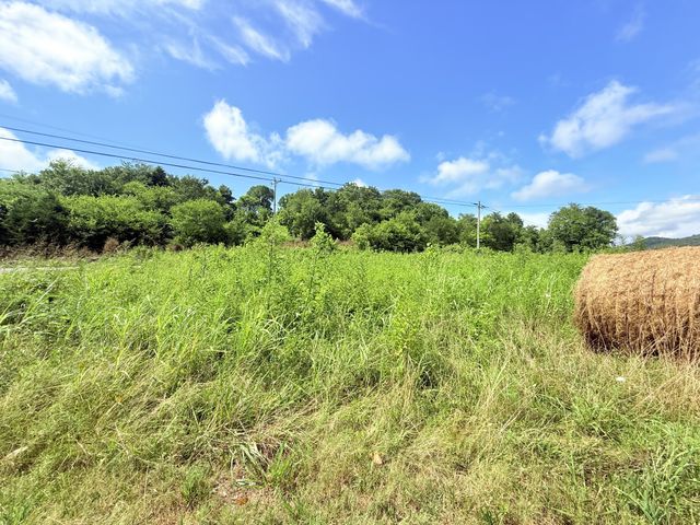 6866 Greenvale Rd, Watertown, TN 37184