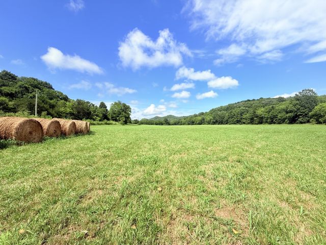 6866 Greenvale Rd, Watertown, TN 37184