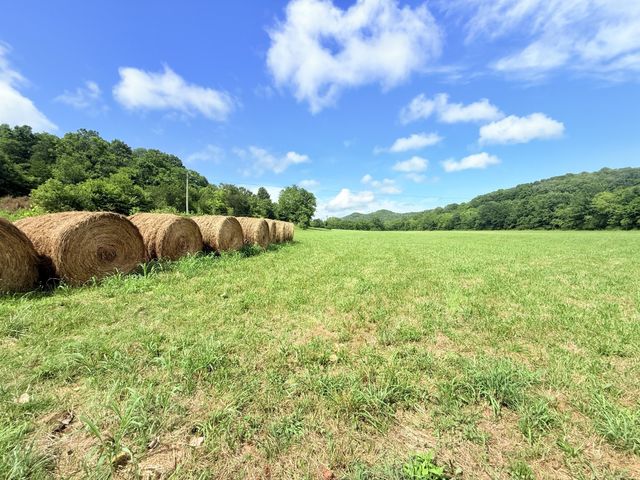 6866 Greenvale Rd, Watertown, TN 37184