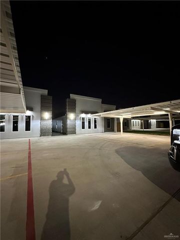 1317 Valle Vista Street, Alamo, TX 78516