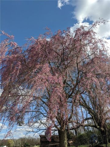 1767 S Eighty Eight Road, Greensboro, PA 15338