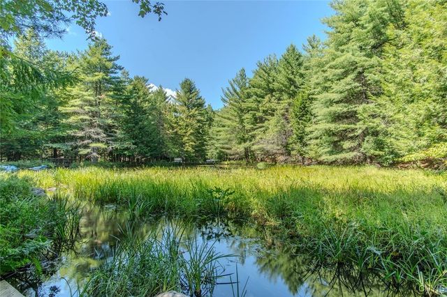 6443 Lingerlong Pond Road, Watson, NY 13343