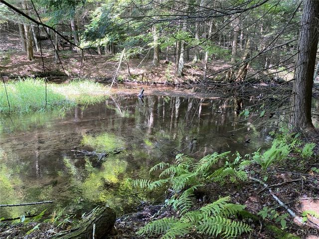 6443 Lingerlong Pond Road, Watson, NY 13343