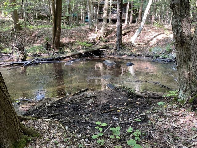 6443 Lingerlong Pond Road, Watson, NY 13343