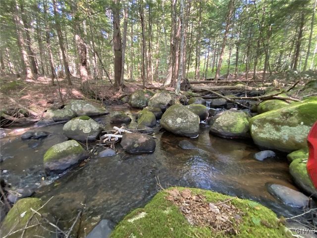 6443 Lingerlong Pond Road, Watson, NY 13343