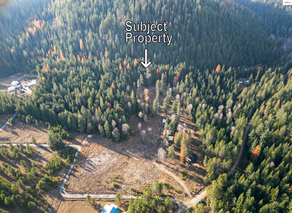 NKA Lower Quartz Creek Rd, Priest River, ID 83856 photo 7