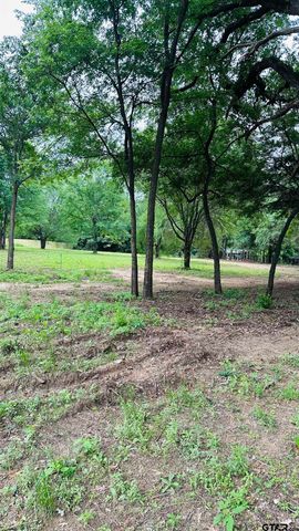 TBD Cr 3601, Bullard, TX 75757
