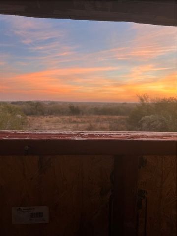 0 Blackbrush Spur, George West, TX 78022
