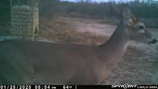 0 Blackbrush Spur, George West, TX 78022