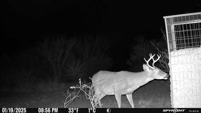 0 Blackbrush Spur, George West, TX 78022