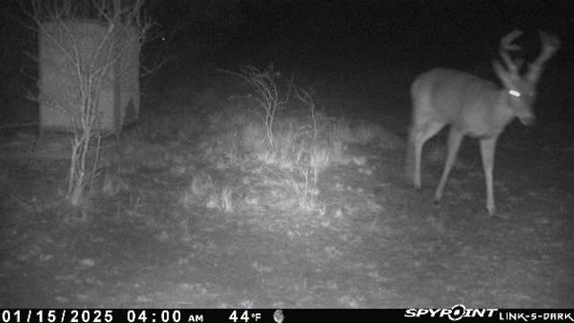 0 Blackbrush Spur, George West, TX 78022